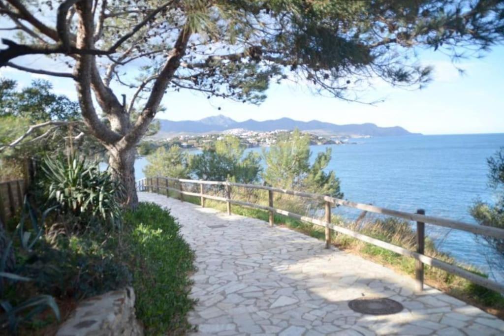 Residence Avec Piscine Face A La Mer, 1Ere Ligne Llança Buitenkant foto